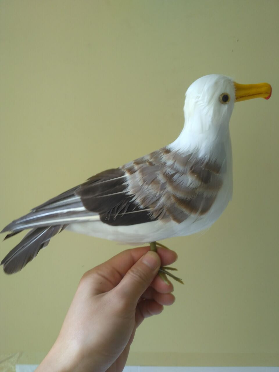 simulation seagull model foam&feather gray standing seagull bird gift about 30cm gallery