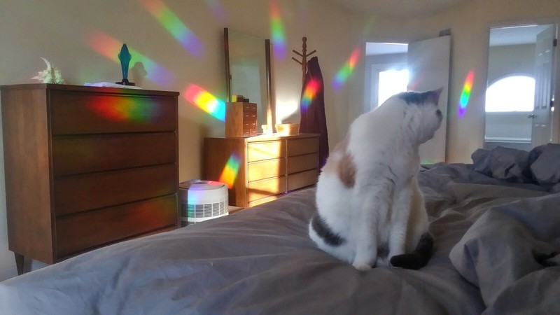 Diffraction Grating Film - Window Suncatcher and Rainbow Maker -18" x 24" gallery