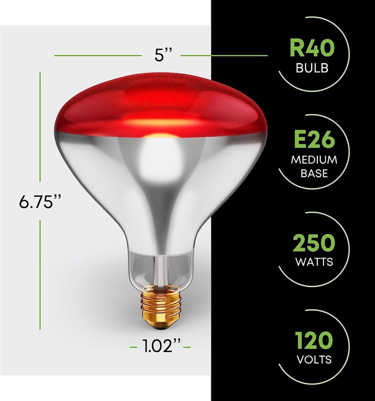 2 Pack 250W Watt Infrared Brooder Chicken Coop Hen Red Heat Lamp R40 Medium E26 gallery