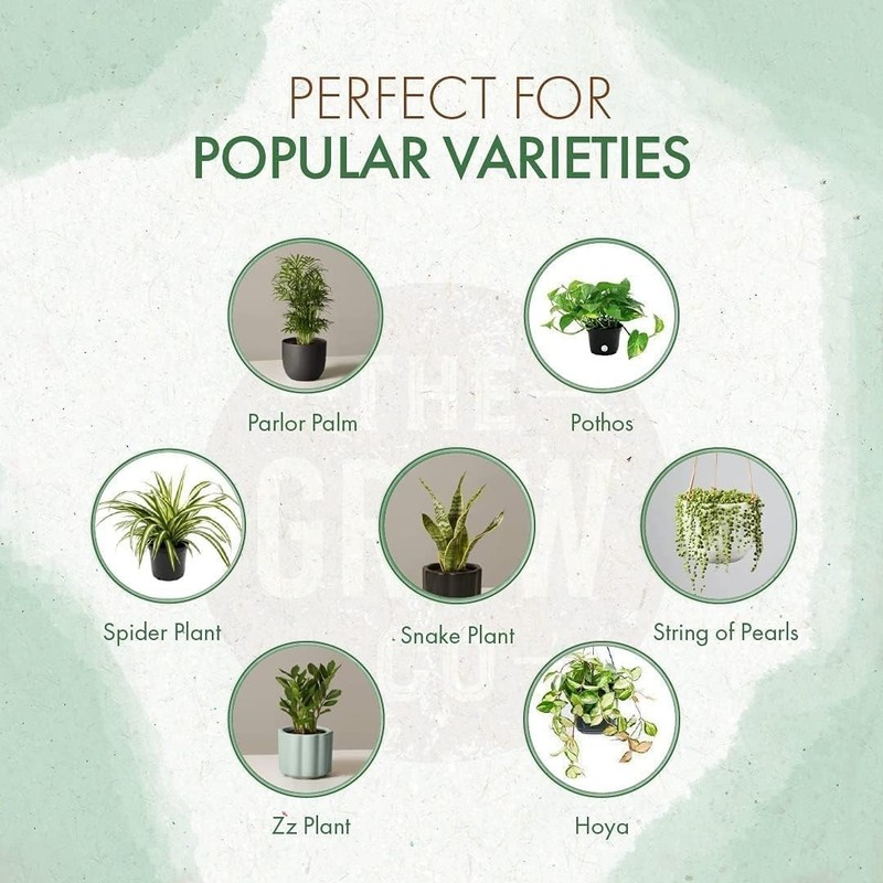 All-Purpose Liquid Alternative Plant Food - Nourish Indoor & Outdoor Plants 5 oz gallery