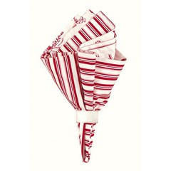 Devon Cranberry Napkin