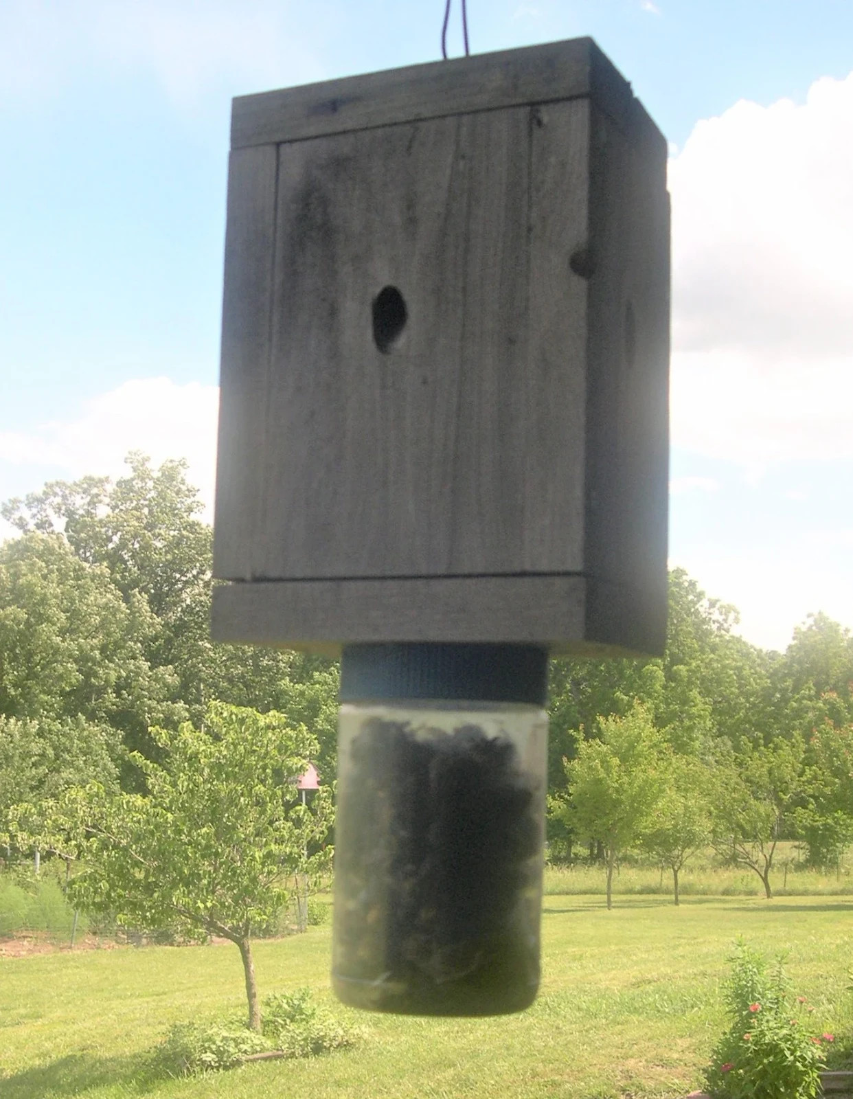 2 Carpenter Bee Trap- Easy Catch- Easy Disposal-NO CHEMICALS - ECO SAFE gallery