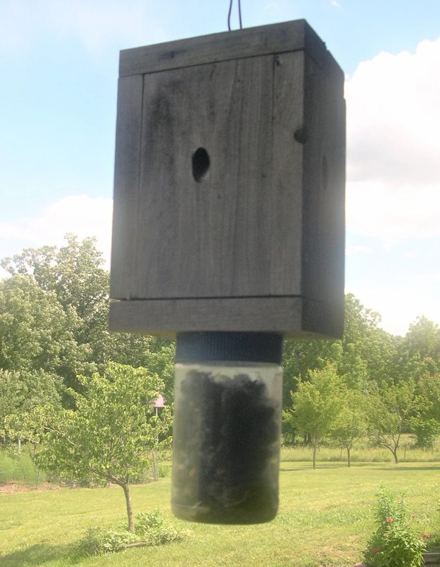 2 Carpenter Bee Trap- Easy Catch- Easy Disposal-NO CHEMICALS - ECO SAFE gallery