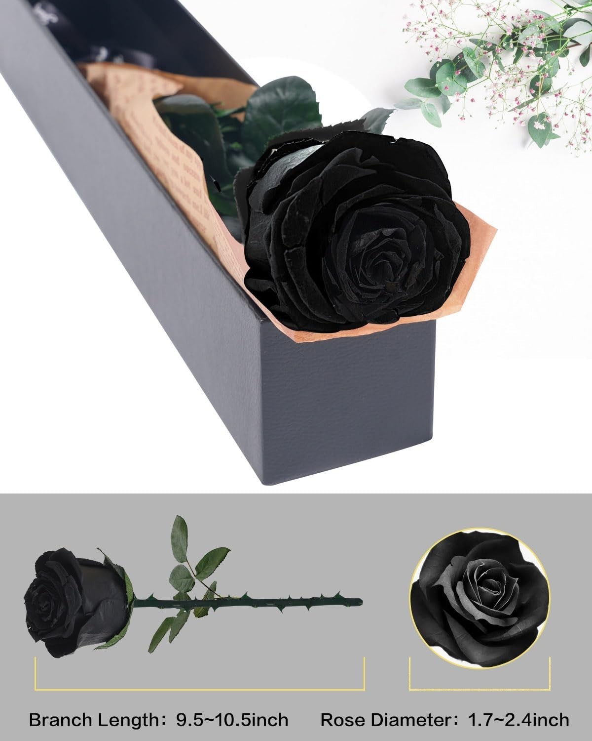 Black Preserved Roses for Delivery - Single Flower Gifts for Her gallery