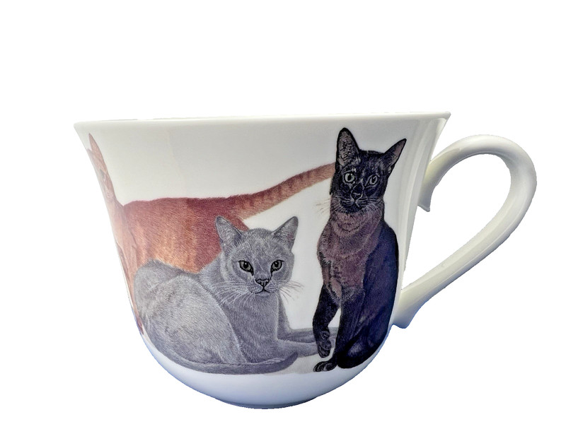 CATS GALORE , BONE CHINA BREAKFAST CUP SAUCER, KIRKHAM MADE ENGLAND NEW UNUSED gallery