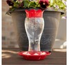 Pennington Glass Hummingbird Feeder, 16 Oz Nectar Capacity gallery
