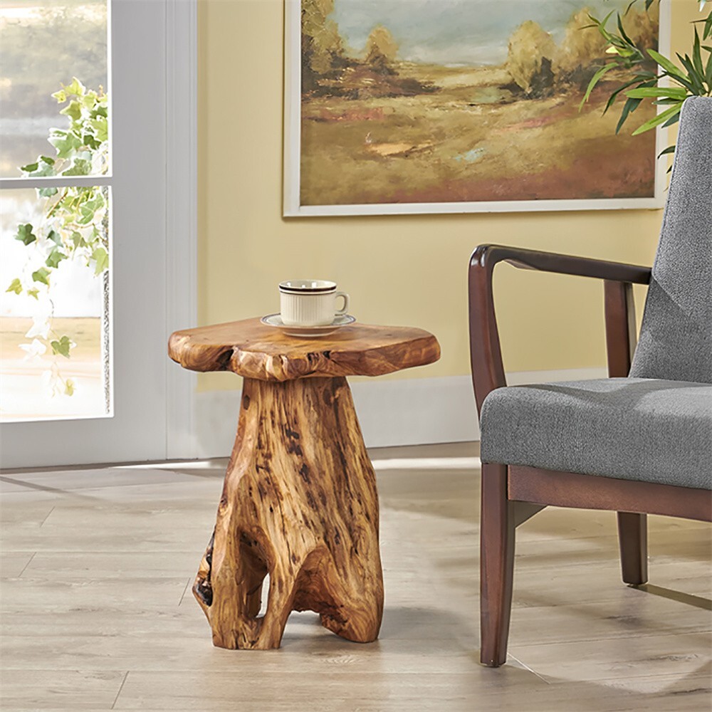 Rustic Cedar Roots Flower Stand Stool, Tree Stump Stool Side Table 19.5" H gallery