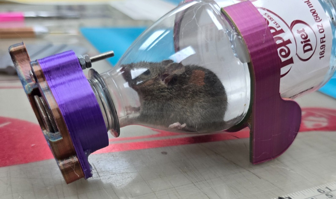 Mouse Catch Trap 100% Sanitary Never Buy Another Mouse Trap 100% Reusable 2 Pack gallery