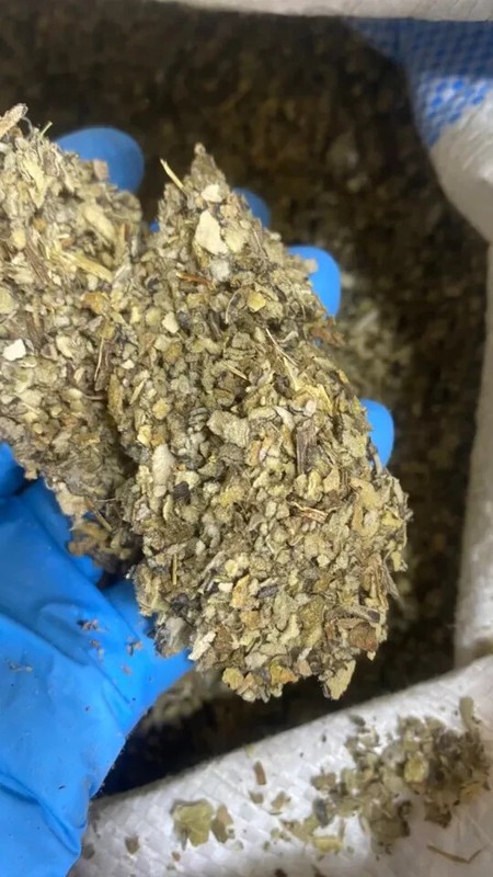 Mullein Leaf Herb Cut Organic - Bulk Lung Medicinal Botanical 1 oz gallery
