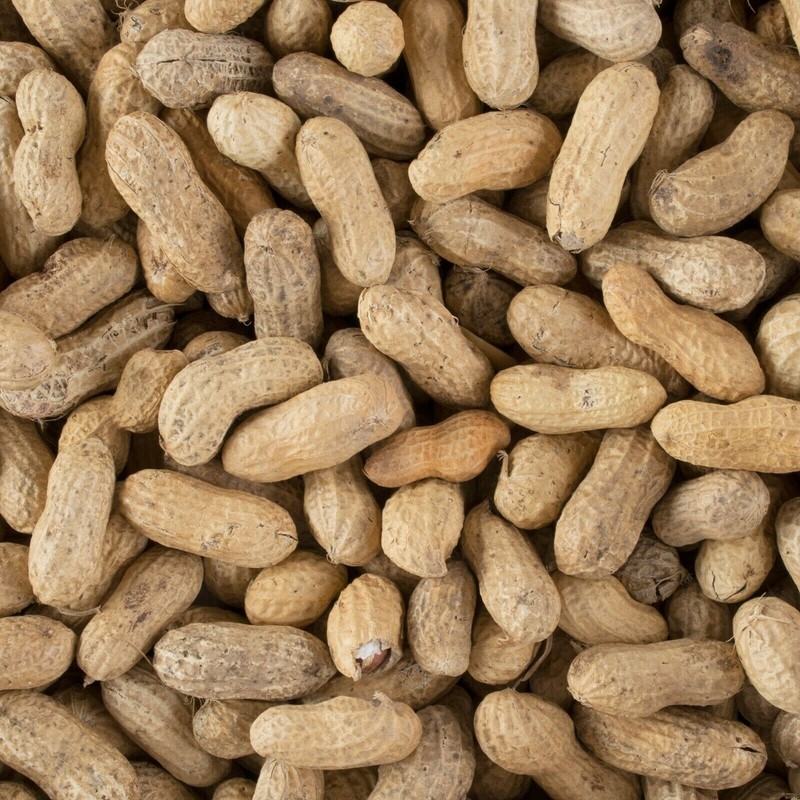 Roasted Unsalted In-Shell Peanuts Hampton Farms Bulk Supply Gluten Free 25-Lbs gallery