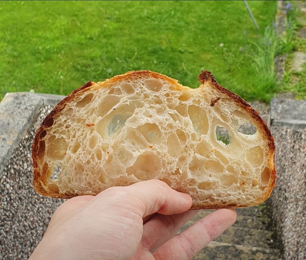 BEGINNER Sourdough Starter Verified Live San Francisco - 221yr Old TOP SELLER!