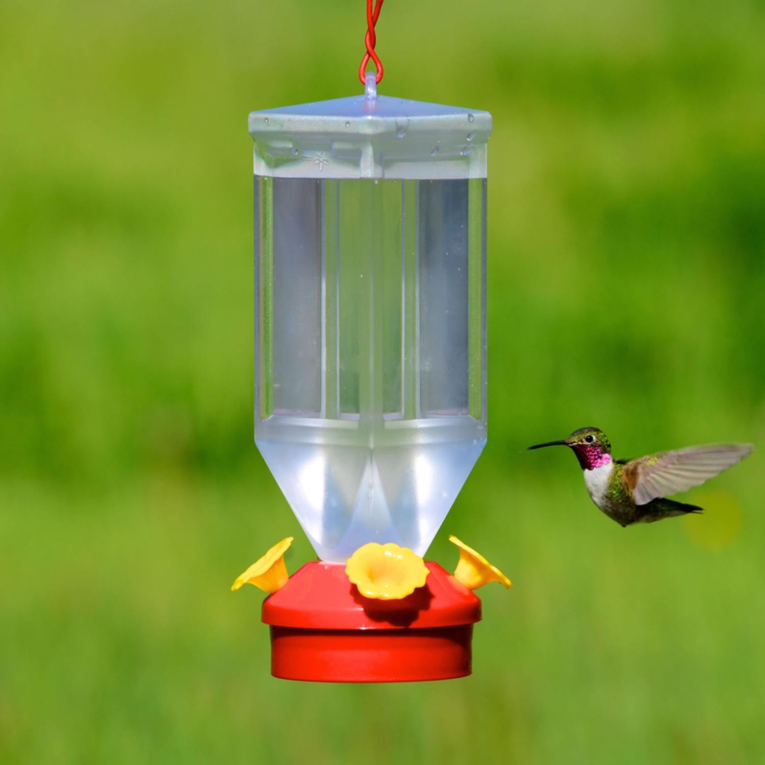 Perky-Pet Hummingbird 18 oz Plastic Lantern Nectar Feeder 4 ports gallery