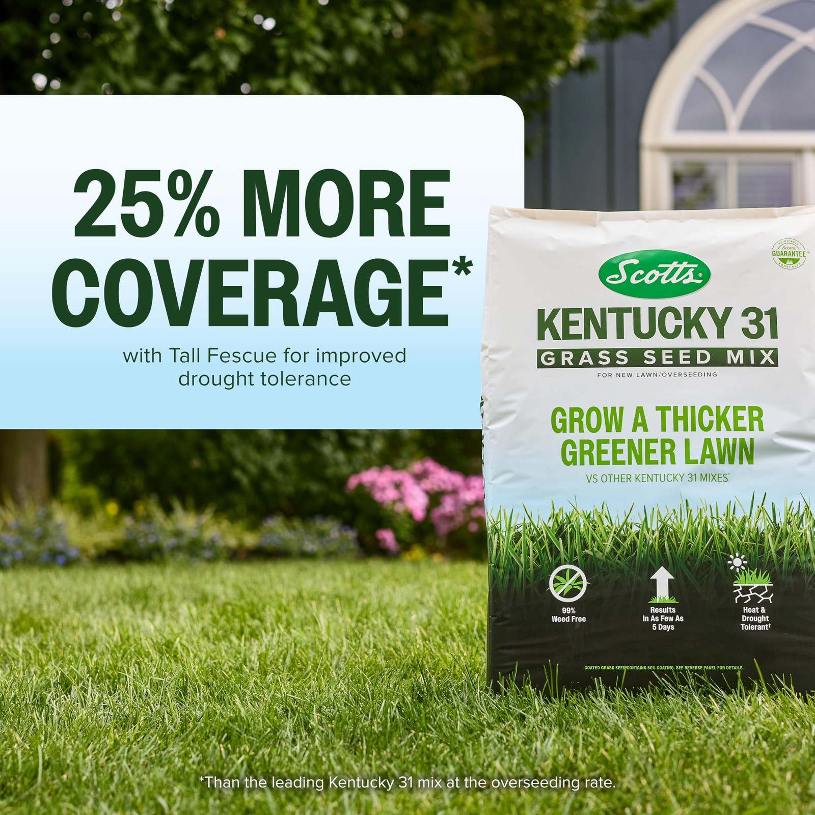 Grow Thicker Greener Grass - Scotts Kentucky 31 Seed Mix 7 lb gallery