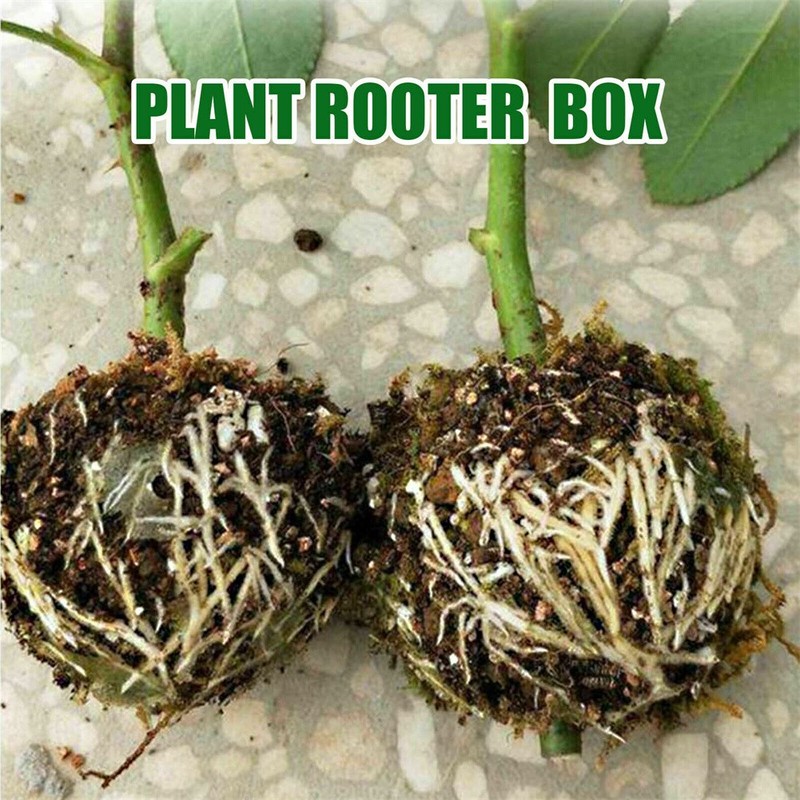 Multi-Size Plant Rooting Device Grow Graft Box High Pressure Propagation Ball gallery