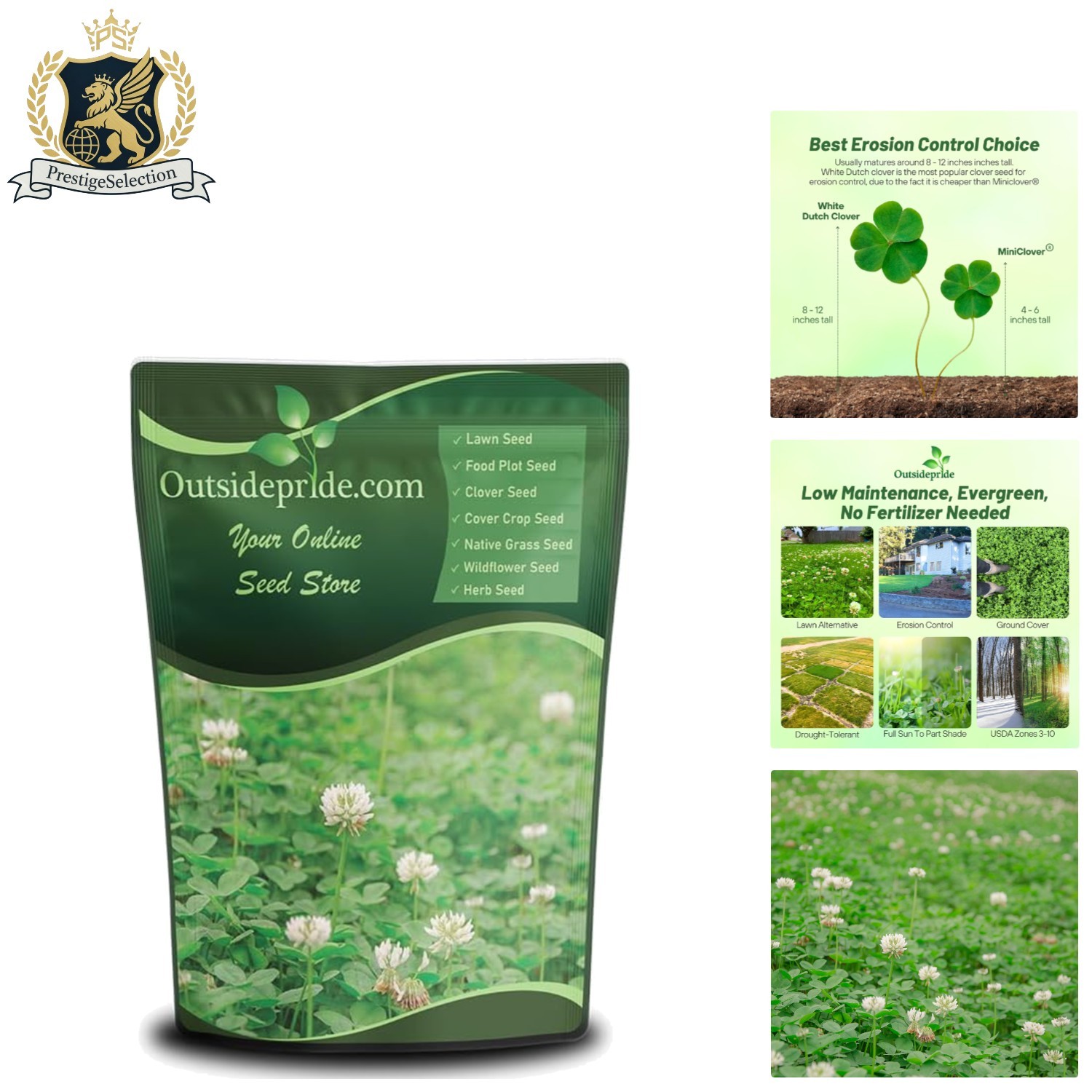 Fast-Germinating White Dutch Clover Seeds - 1/4 Lb for Effortless Ground Cover gallery