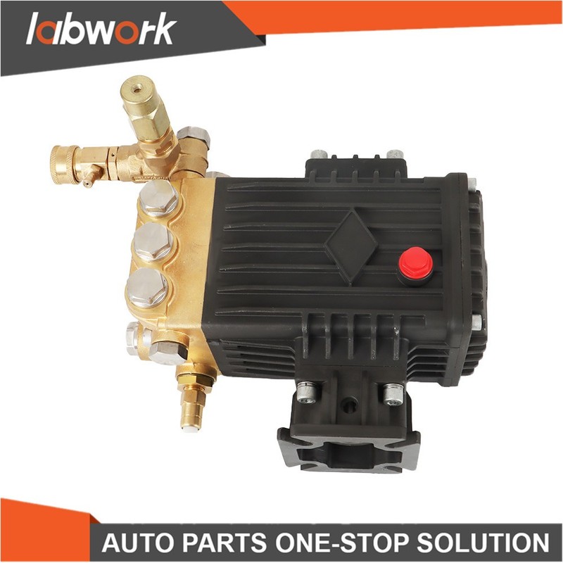 Labwork 3000 PSI Pressure Washer Pump CF 3030 G: 3.1 US gpm 3/4-in Shaft gallery