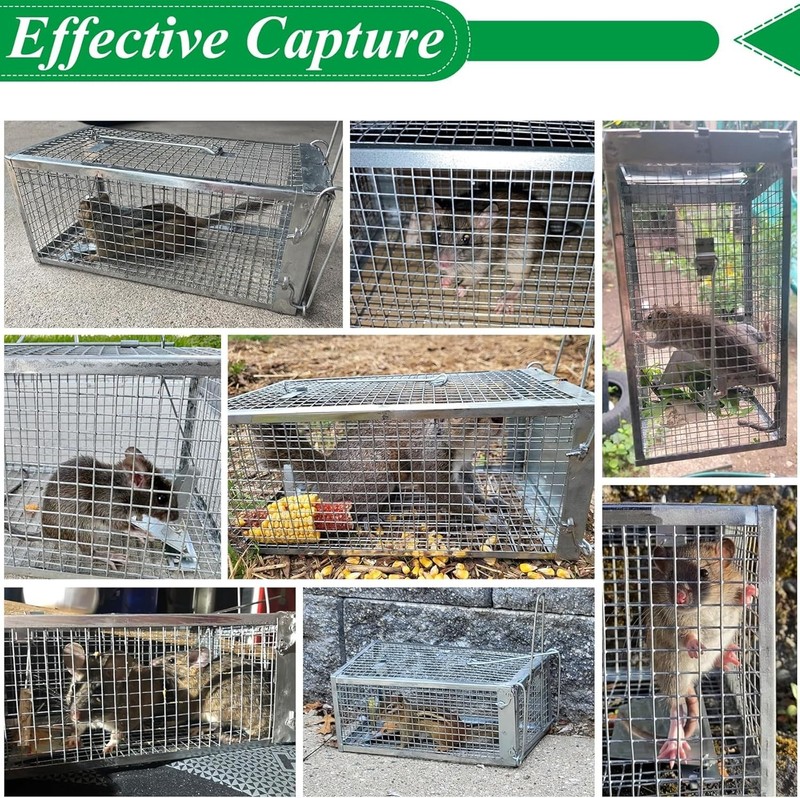 Durable Chipmunk Cage - 2 Pack gallery