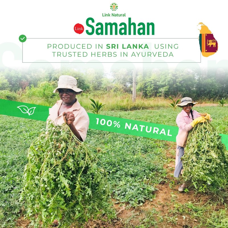 SAMAHAN Ayurvedic Herbal Tea Packets - Sri Lankan 100 Count (Pack of 1) gallery