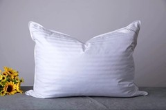 Luxury Premium Goose Down Pillows – Standard 20×26 inch – White Stripe