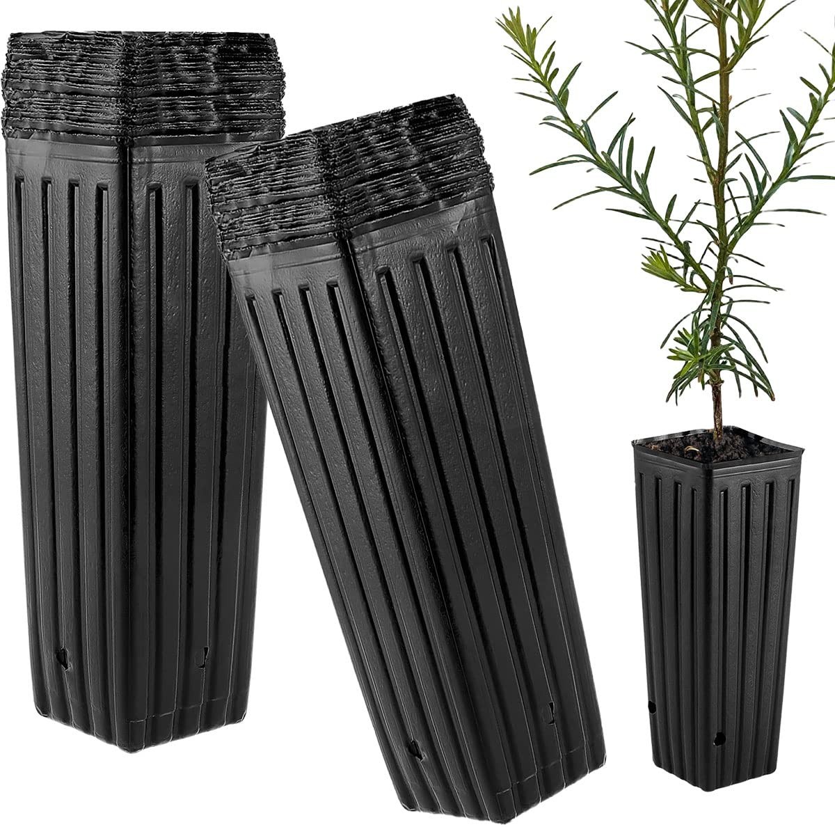 Tall Deep Tree Pot, 50Pcs Plastic Plant Seedling Treepots Tall Flower Plant C... gallery