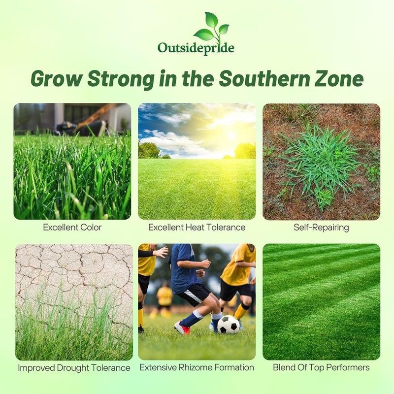 25 LBS - OptiGrowth Coated Combat Extreme&trade; Southern Zone Grass gallery