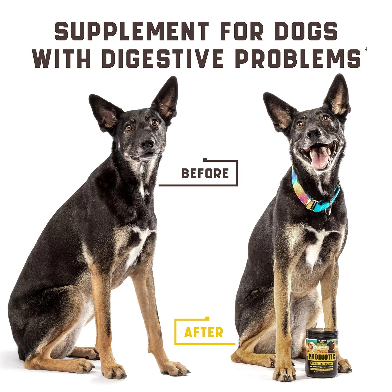 NO AMAZON Probiotics For Dogs Support Gut Health Itchy Skin Allergies Yeast Bala gallery