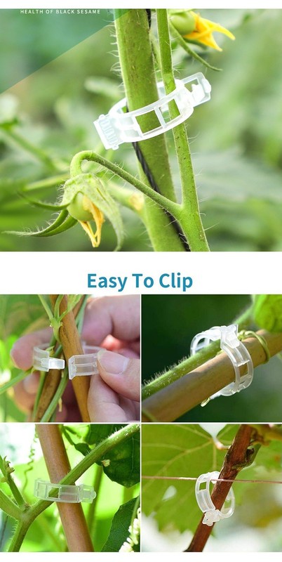 White Reusable Plant Support Clips Tomato Vine Vegetable Garden Trellis Fastener gallery