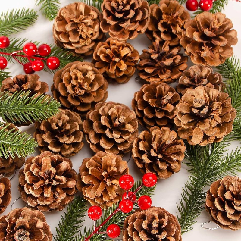 24× Christmas Natural Pine Cones Rustic Pinecones Bulk Xmas Ornaments Tree Decor gallery