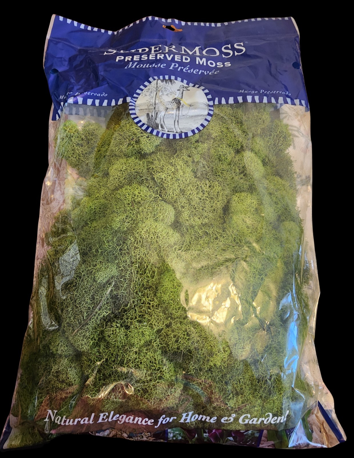 Super Moss Reindeer Moss Preserved, Forest Green gallery