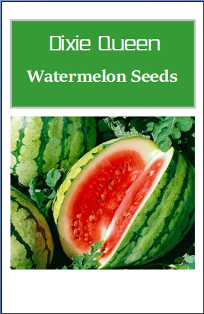 Dixie Queen Watermelon Seeds | NON-GMO | Heirloom | Fresh Garden Seeds gallery
