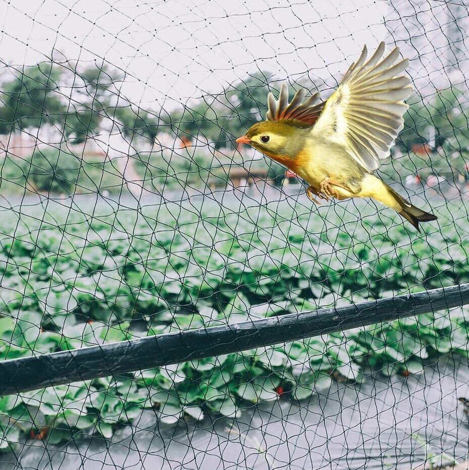 7FT 33FT Anti Bird Netting Pond Net Protection Crops Plants Garden Mesh 5X20M gallery