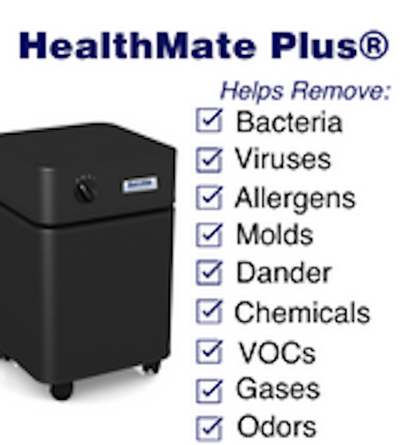 AUSTIN Air Purifier HealthMate Jr. PLUS W. HEPA Filter NEW WITH 5 YEAR WARRANTY gallery