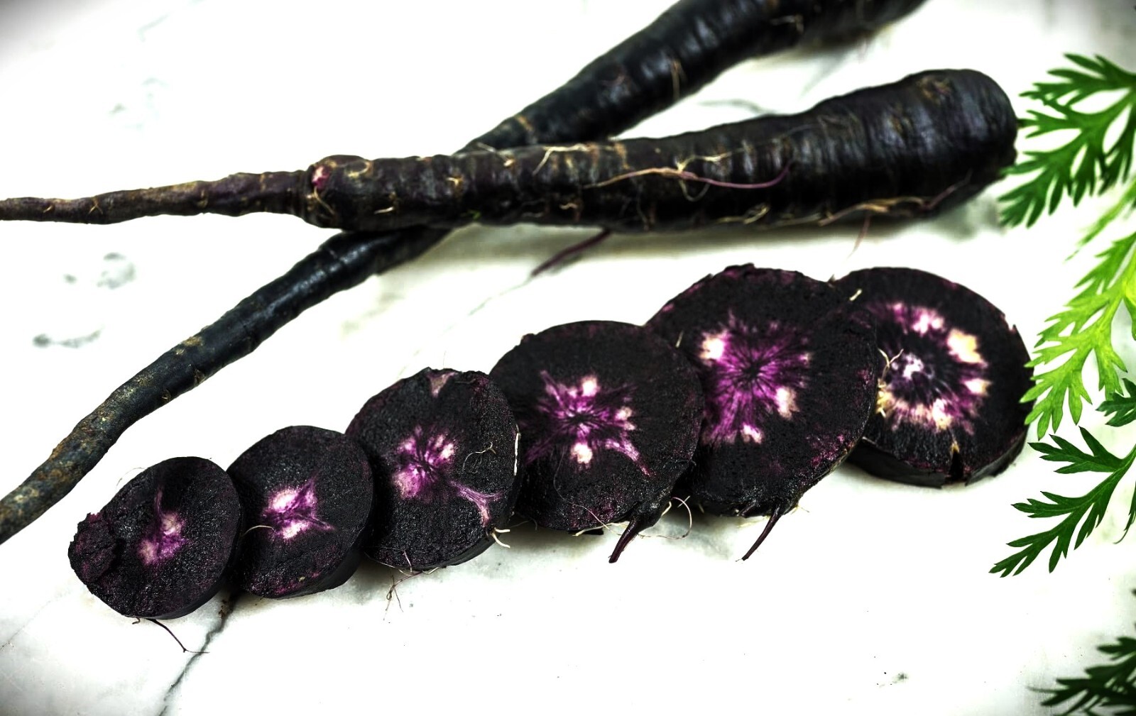 Black Nebula Carrot Seeds gallery
