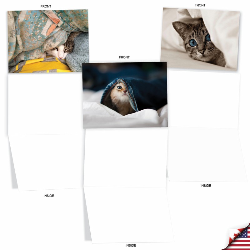 10 Assorted All Occasion Blank Note Cards - CAT YOU SEE ME NOW M1543BN gallery