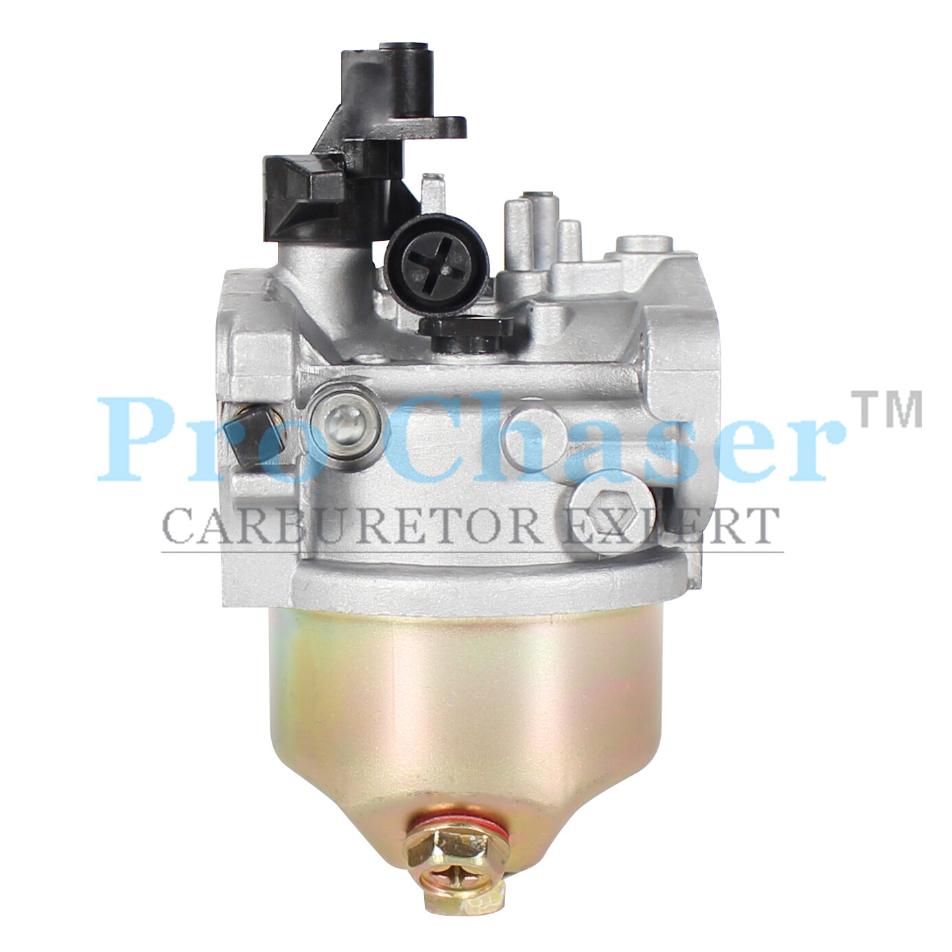 Carburetor for MTD 1P65B0B Engine gallery