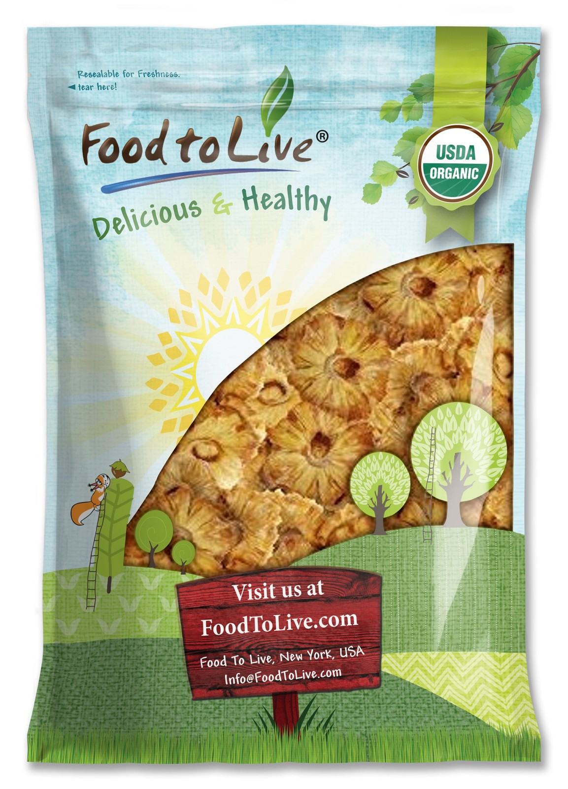 Organic Dried Pineapple Rings — Non-GMO, Kosher, Raw, Vegan — by Food To Live gallery