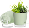 Plant Pots 8 Inch Self Watering Pots, 2 Pack Plastic Planters with Drainage Hole gallery