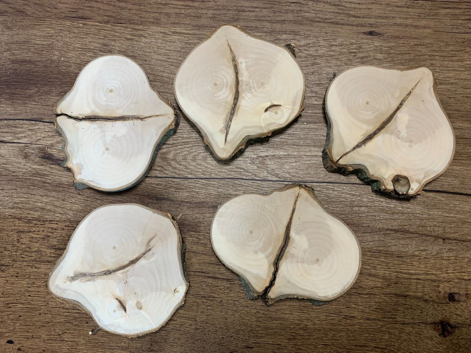 Maple Log Slices with Smiley Face Natural Cracks, About 5 Inches Diameter, 5ct gallery