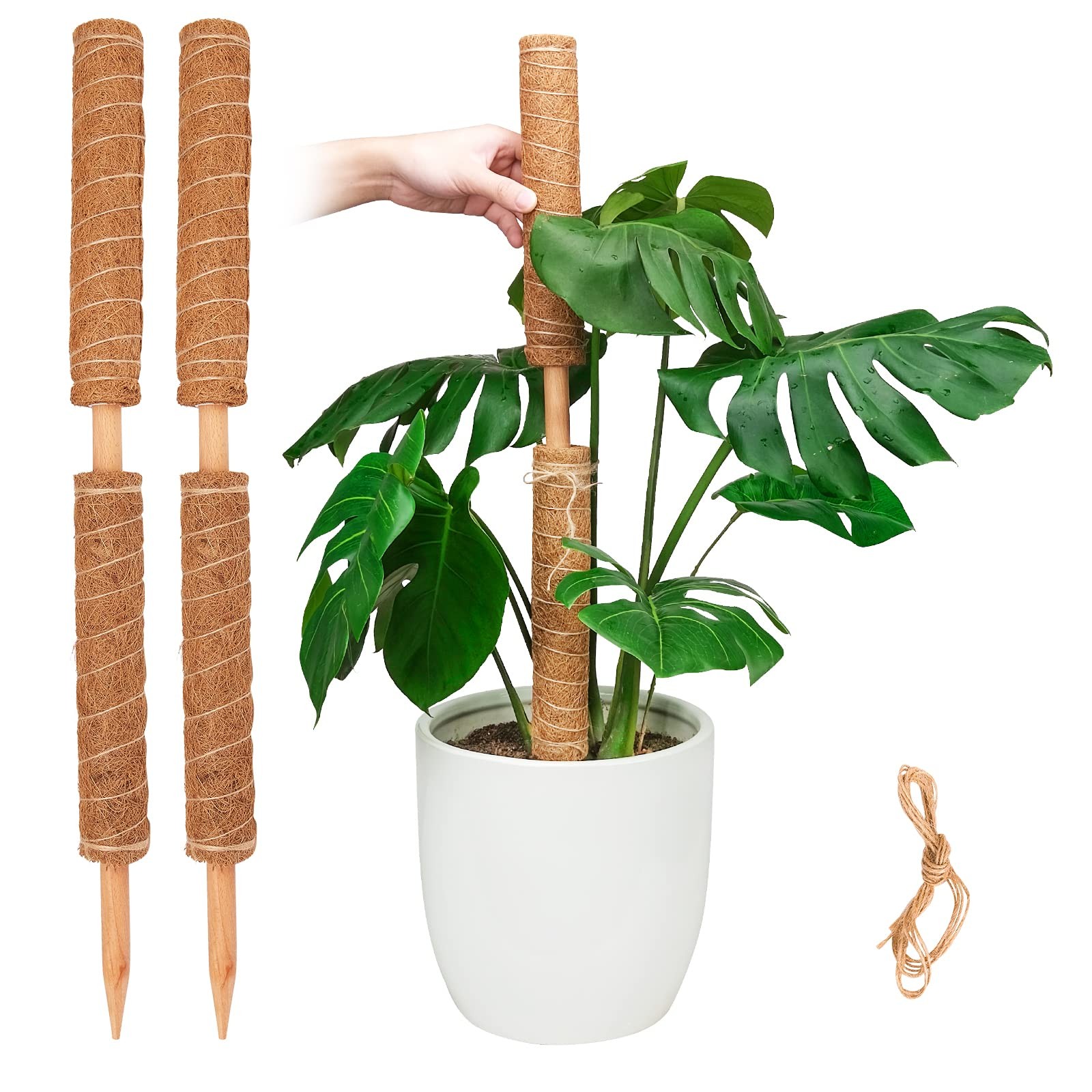 Moss Pole for Plants Monstera, Extendable Plant Sticks Support, Plant Stakes ... gallery