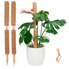 Moss Pole for Plants Monstera, Extendable Plant Sticks Support, Plant Stakes …