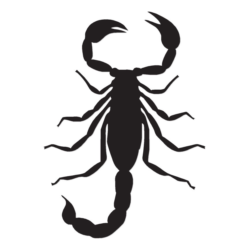 Scorpion Stinger - Vinyl Decal Sticker - Multiple Colors & Sizes - ebn2893 gallery