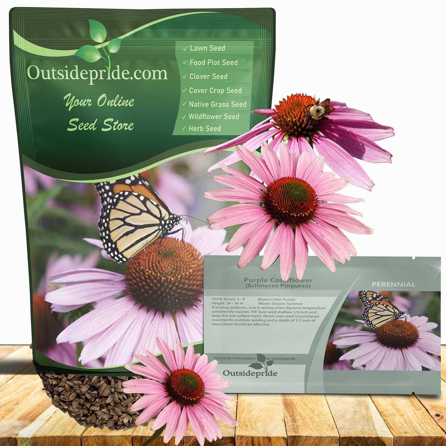 1 LB Purple Coneflower Wild Flower Seed For Planting | Echinacea Seeds gallery