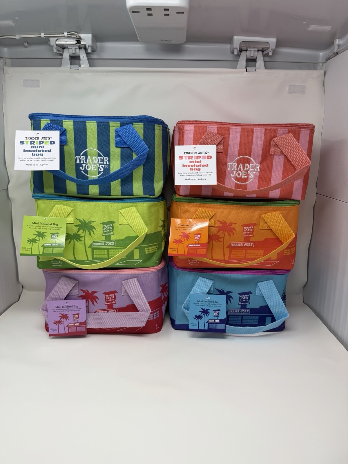 Trader Joe’s Mini Insulated Tote Cooler Bag Summer Collection - Set Of 6 gallery