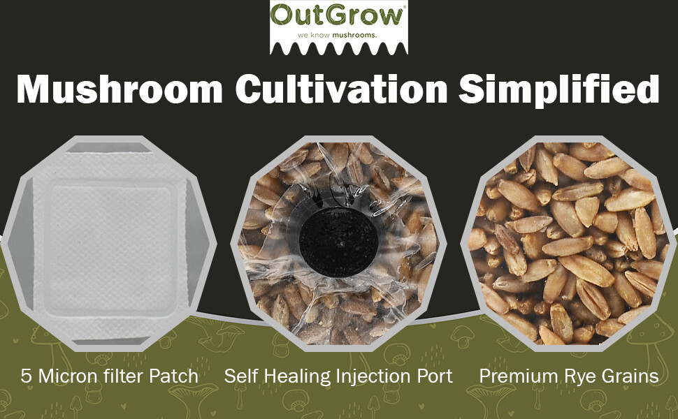 Sterilized Rye Berry Mushroom Substrate (24 One Pound Bags) gallery