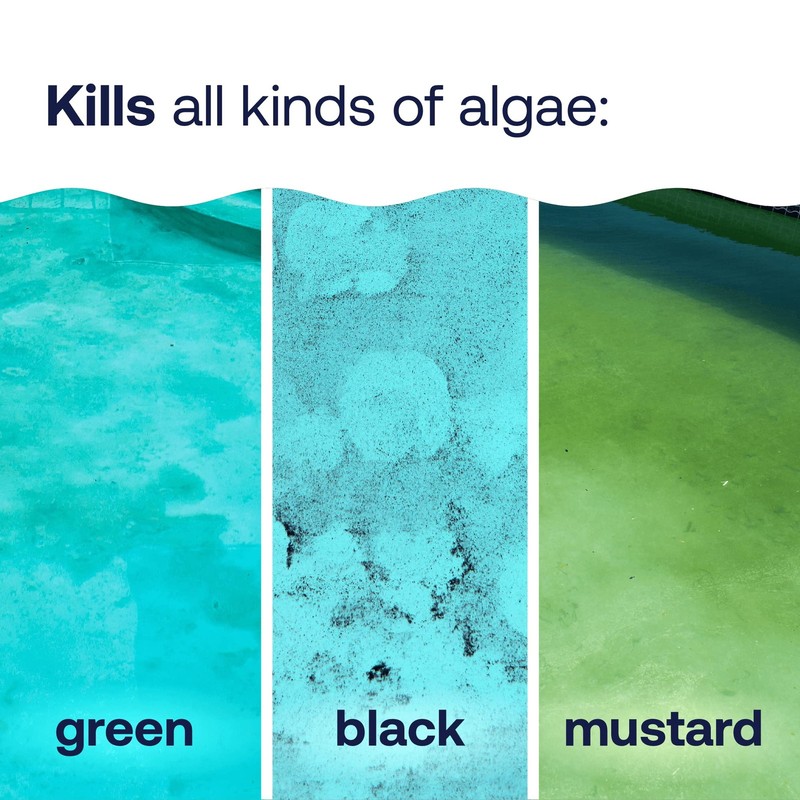 HTH 67084 Pool Care Algae Guard Advanced, All 32 fl oz (Pack of 1) gallery