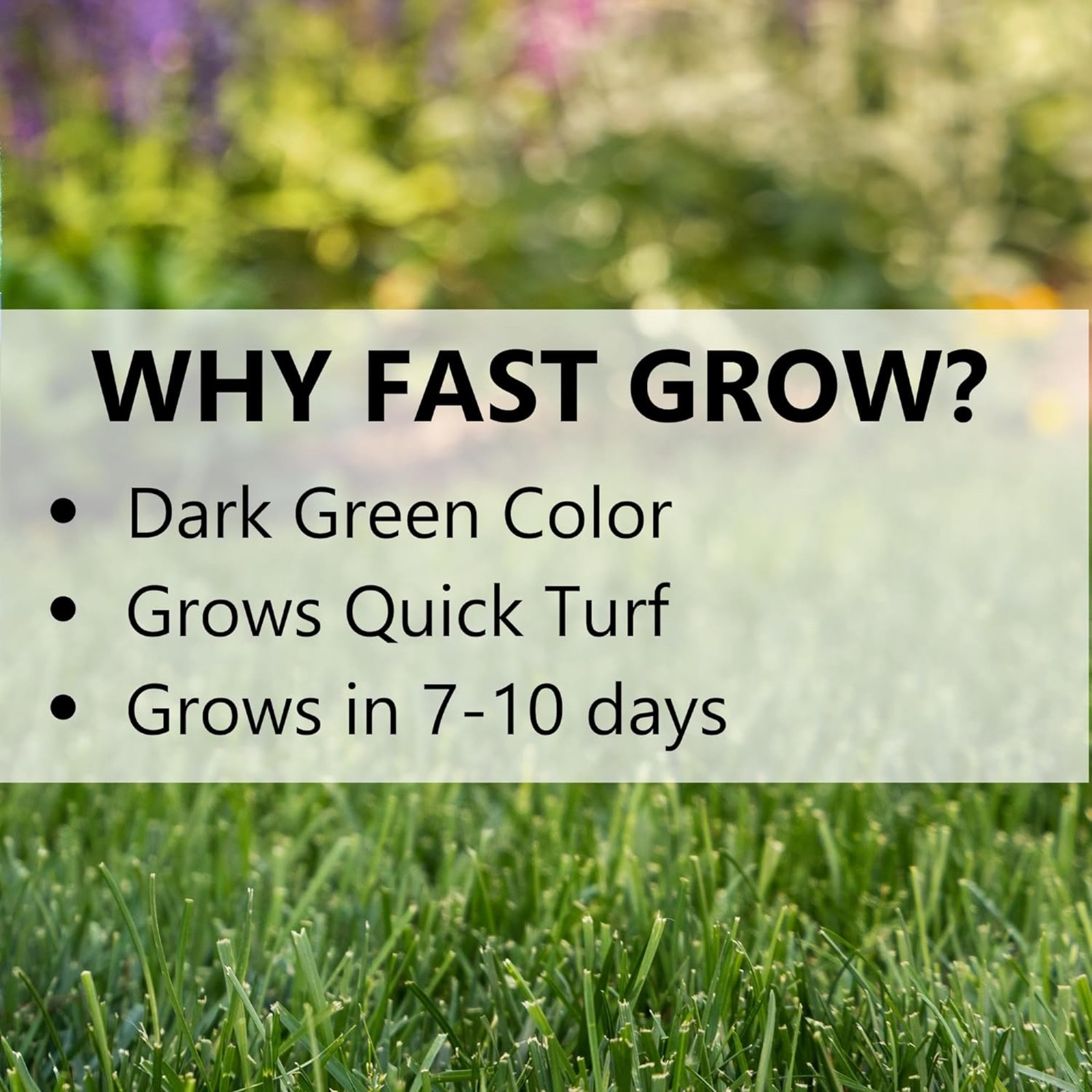 Jonathan Green (#10840) Fast Grow Grass Seed Mixture, 7lb bag gallery