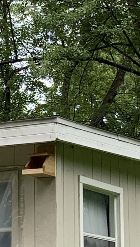 Cedar Robin Cardinal Dove Nesting Box roasting Platform Wood ￼ gallery