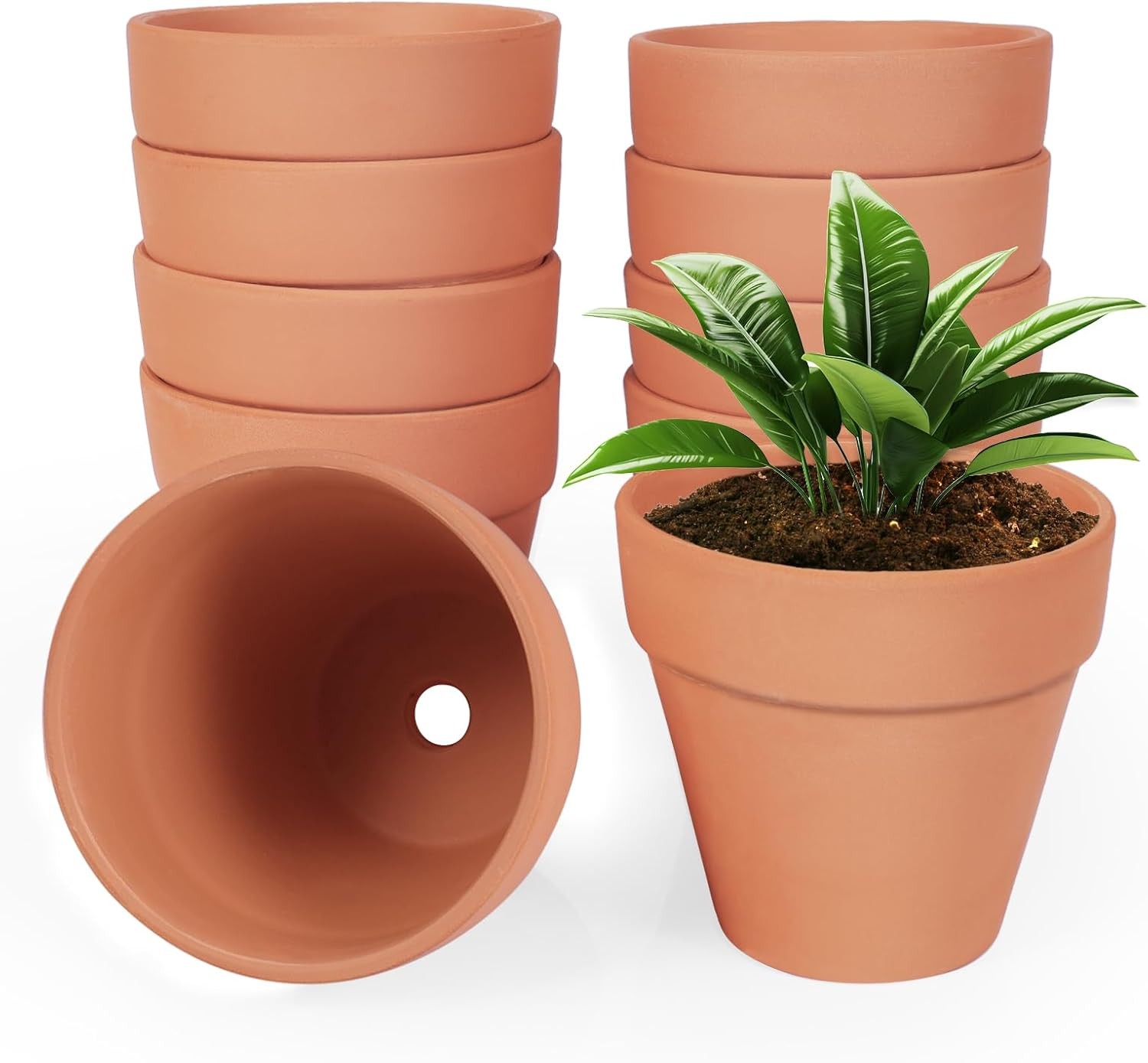 24 Pack 4 Inches Terracotta Plant Pots, Terra Cotta Planter with Drainage Holes, gallery