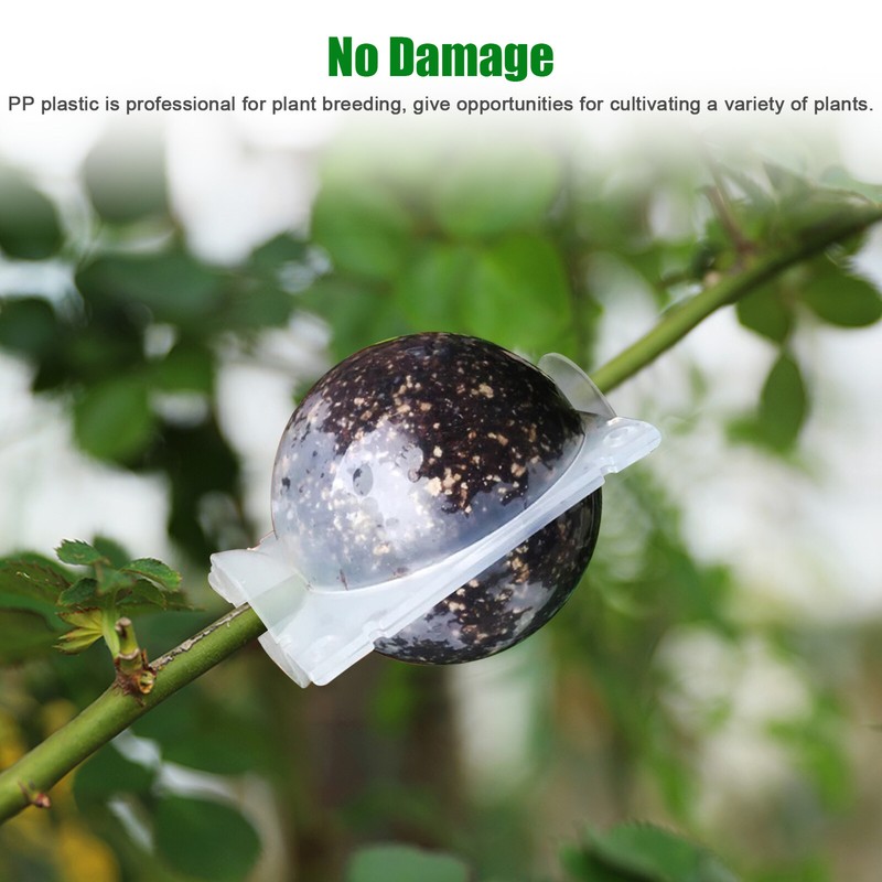 10X High Pressure Propagation Plant Rooting Device Ball Box Growing Graft Garden gallery