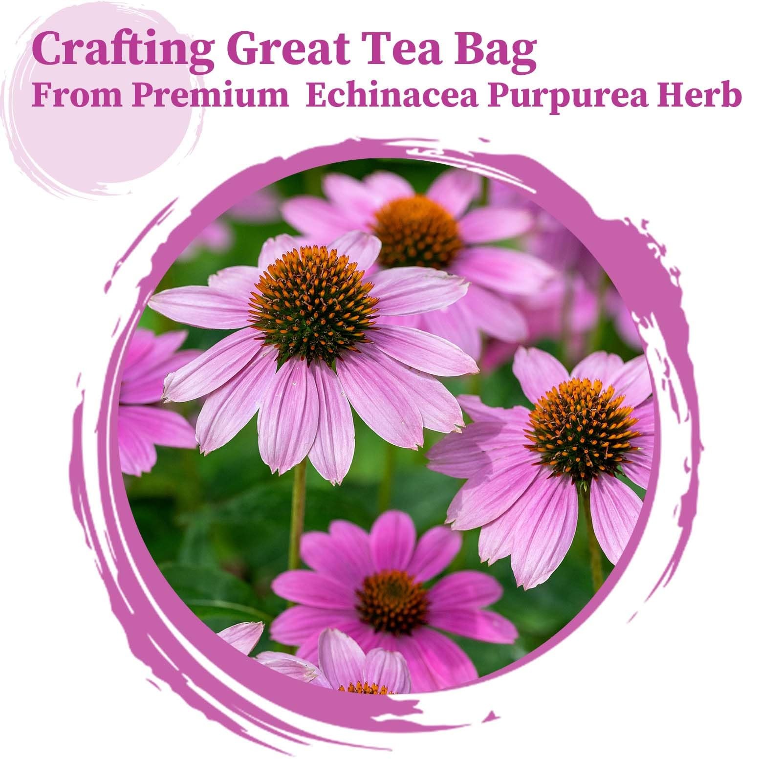 - Echinacea Tea Bags, 50 Count, 2g/bag - Premium Echinacea Purpurea Herb - No... gallery